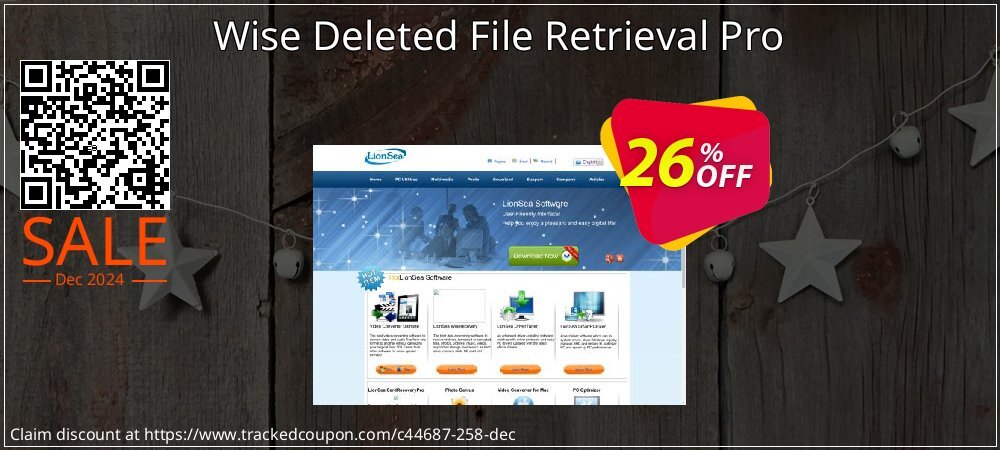 Wise Deleted File Retrieval Pro coupon on Constitution Memorial Day offer