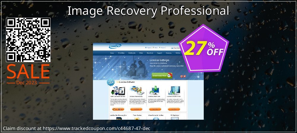 Image Recovery Professional coupon on Working Day discounts