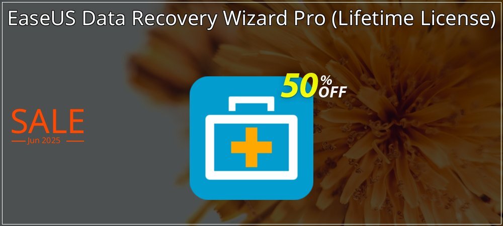 EaseUS Data Recovery Wizard Pro - Lifetime License  coupon on National Walking Day discount