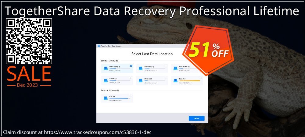 TogetherShare Data Recovery Professional Lifetime coupon on World Party Day deals