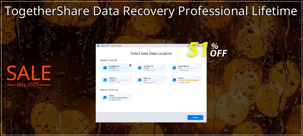 TogetherShare Data Recovery Professional Lifetime coupon on World Party Day deals