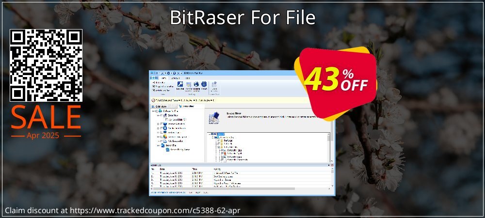 BitRaser For File coupon on National Memo Day promotions