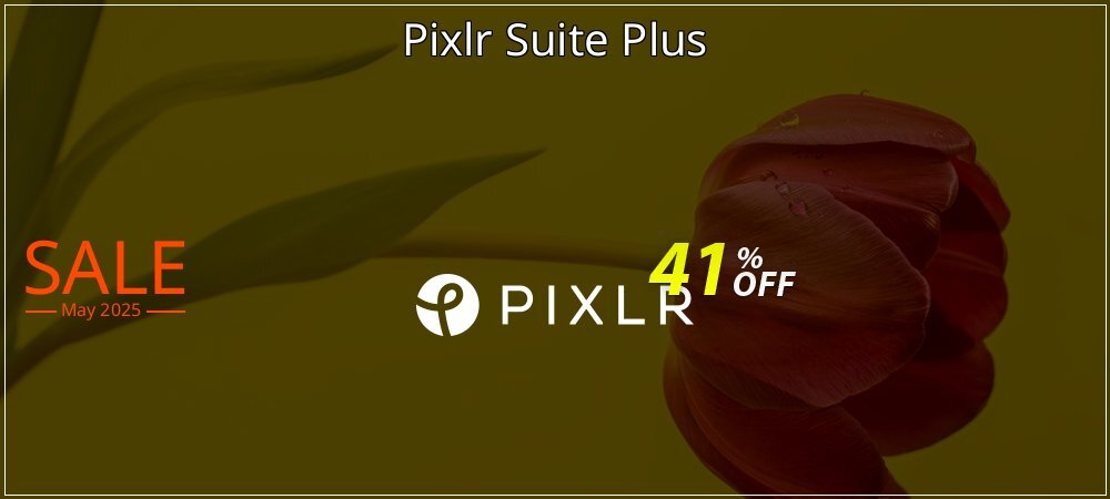 Pixlr Suite Plus coupon on Mother Day discount