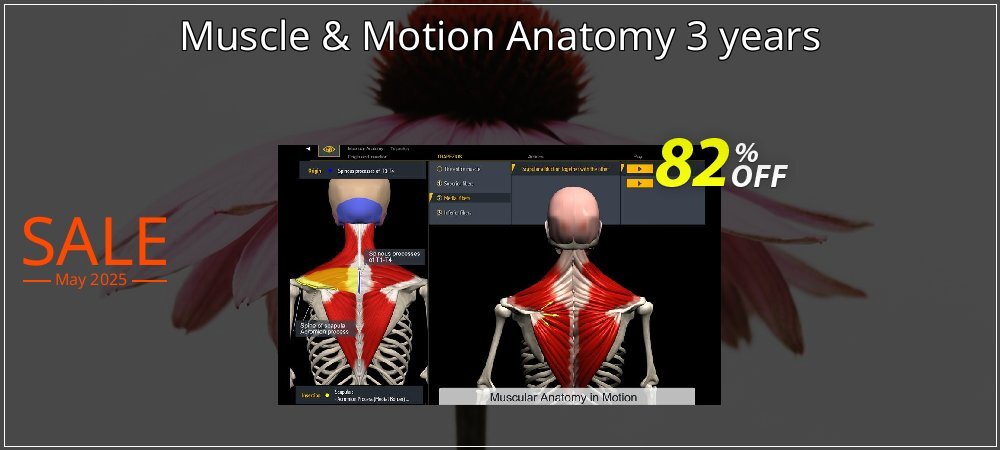 Muscle & Motion Anatomy 3 years coupon on Palm Sunday offering sales