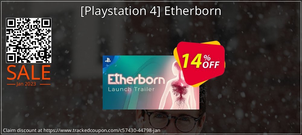  - Playstation 4 Etherborn coupon on Virtual Vacation Day discounts