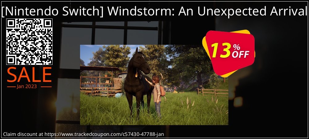  - Nintendo Switch Windstorm: An Unexpected Arrival coupon on Korean New Year promotions