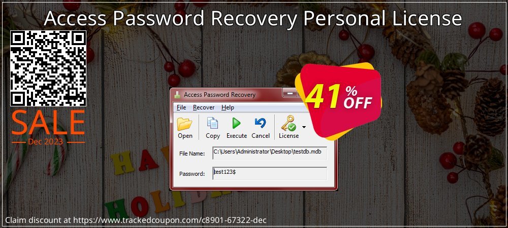 Access Password Recovery Personal License coupon on Working Day offering sales