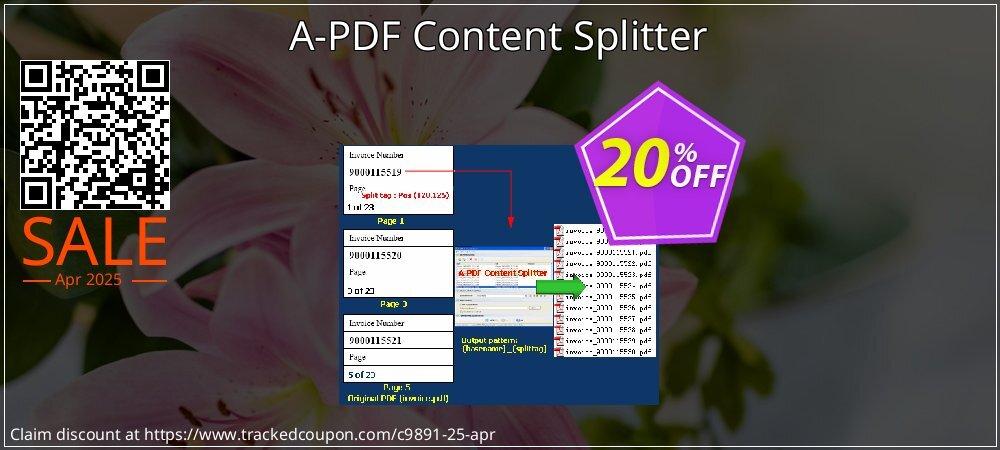 A-PDF Content Splitter coupon on National Walking Day sales