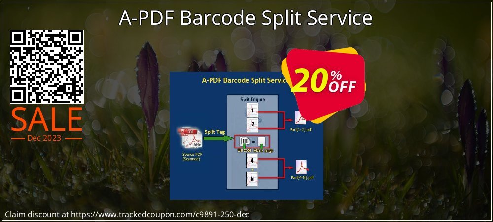 A-PDF Barcode Split Service coupon on National Walking Day sales