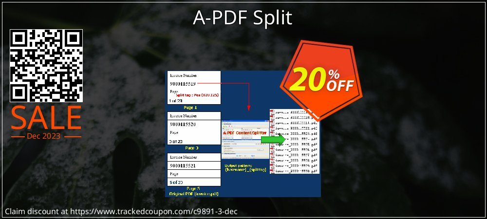 A-PDF Split coupon on National Pizza Party Day super sale
