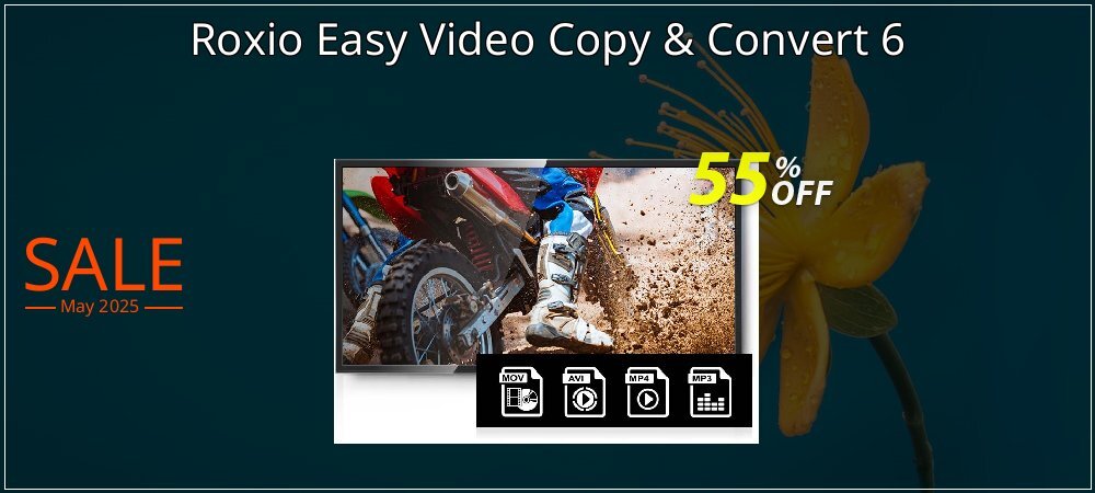 Roxio Easy Video Copy & Convert 6 coupon on Tell a Lie Day promotions