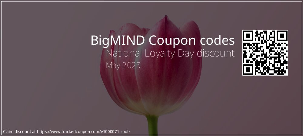 BigMIND Coupon discount, offer to 2025