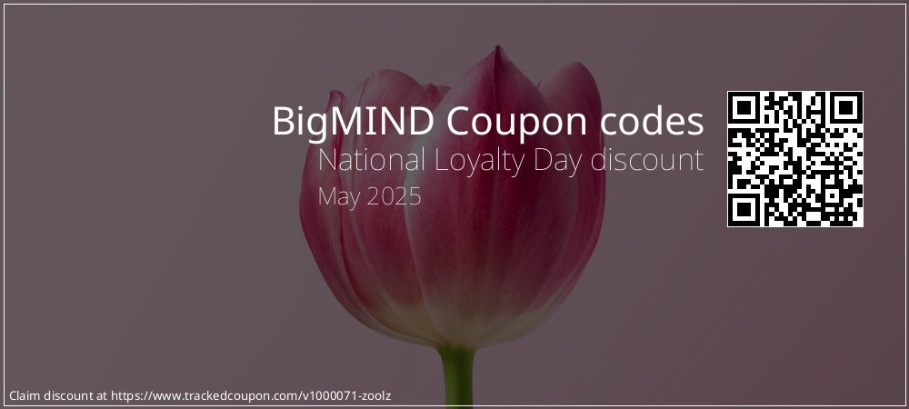 BigMIND Coupon discount, offer to 2024