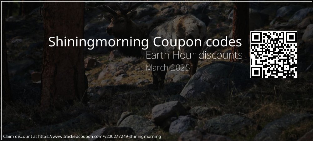 Shiningmorning Coupon discount, offer to 2024