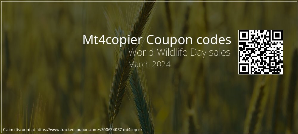 Mt4copier Coupon discount, offer to 2024
